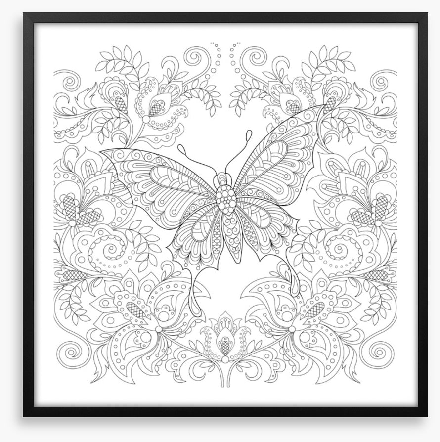 Colour me butterfly garden