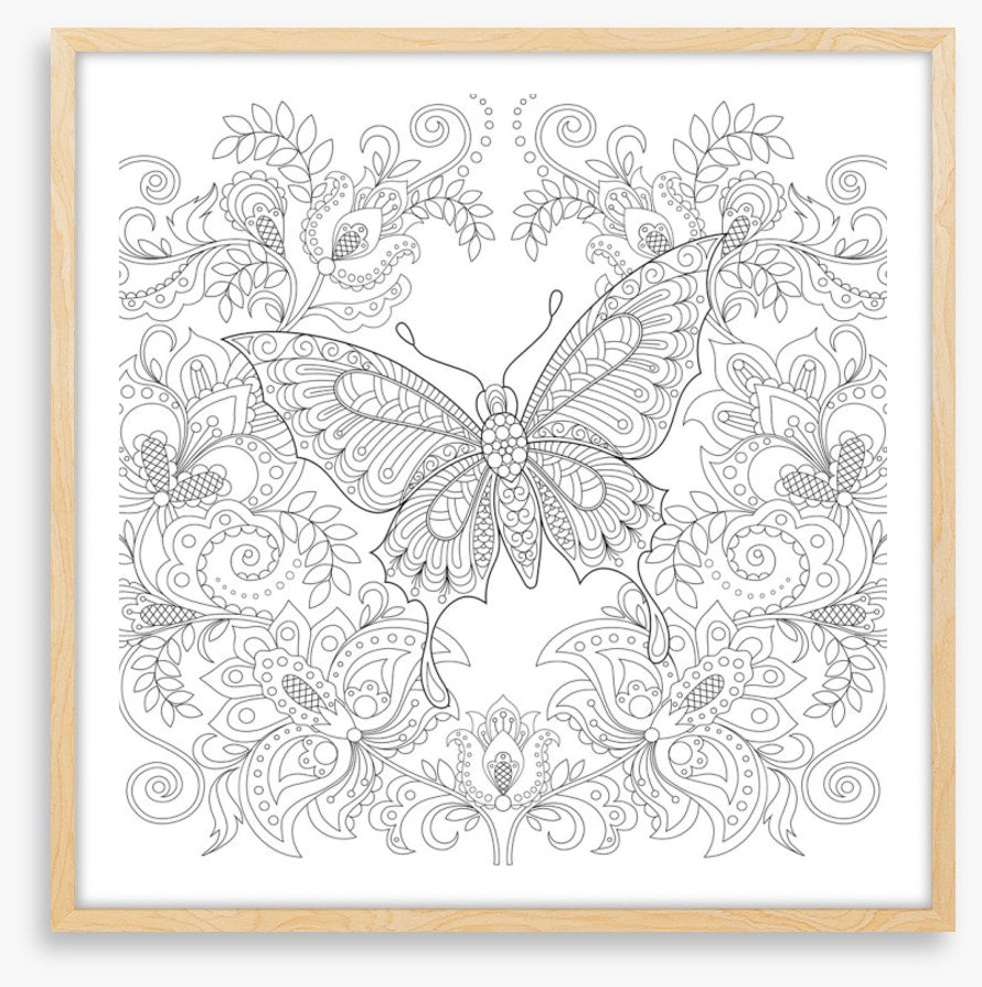 Colour me butterfly garden