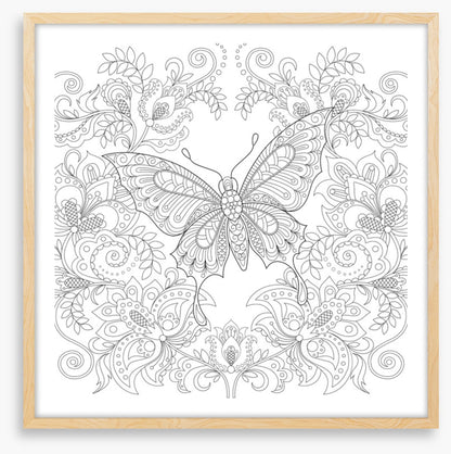 Colour me butterfly garden