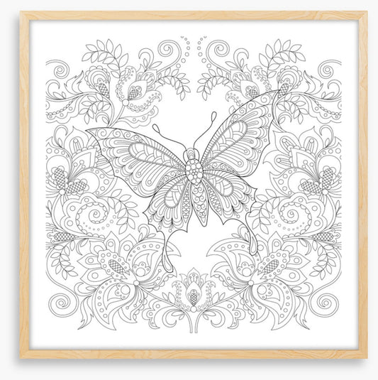 Colour me butterfly garden