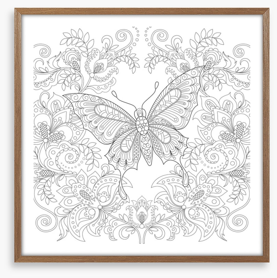 Colour me butterfly garden