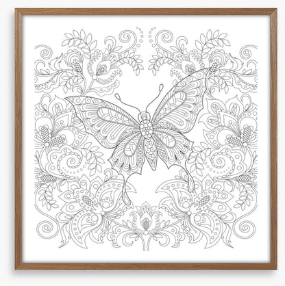 Colour me butterfly garden
