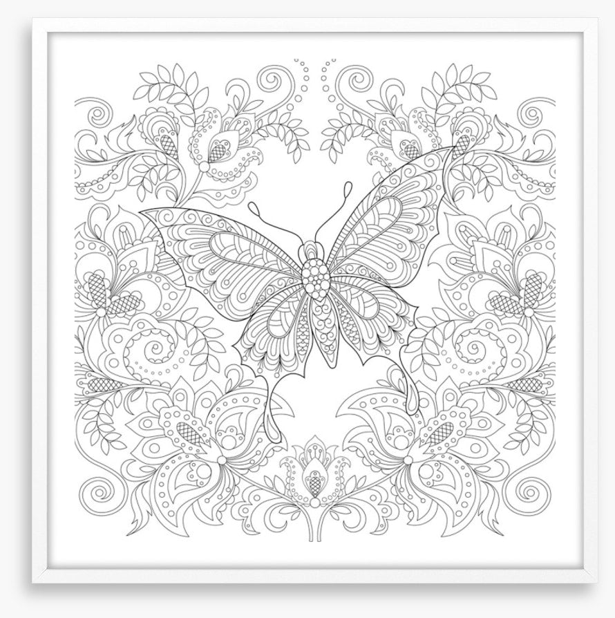 Colour me butterfly garden
