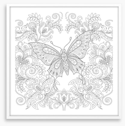 Colour me butterfly garden