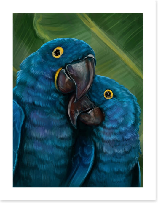 Blue parrot love