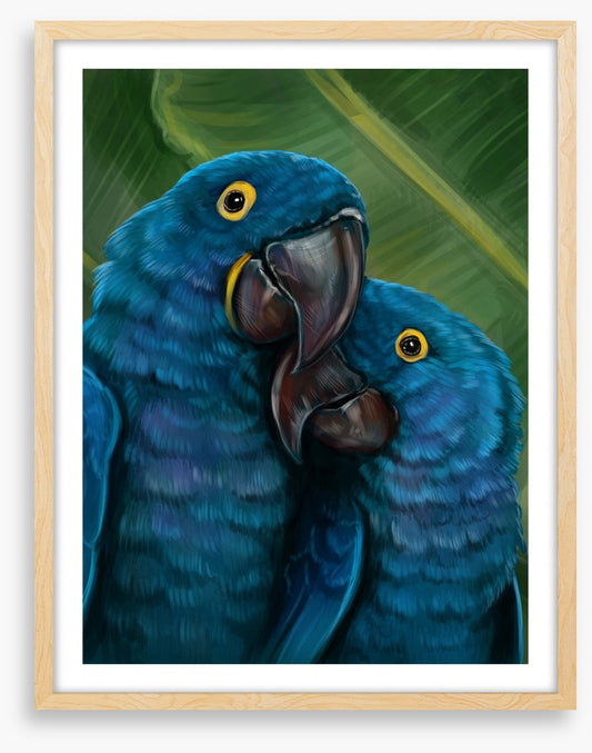 Blue parrot love