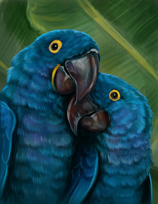 Blue parrot love