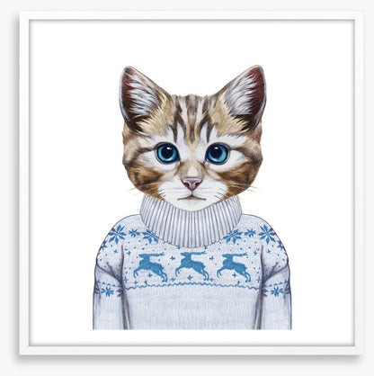 Puss in sweater