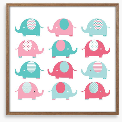 Elephant friends