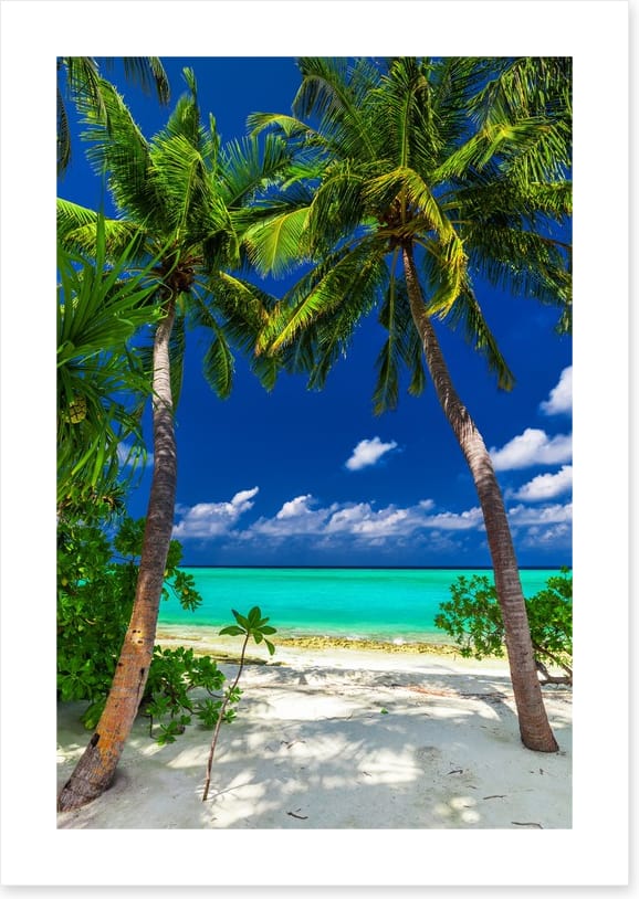 Enter paradise