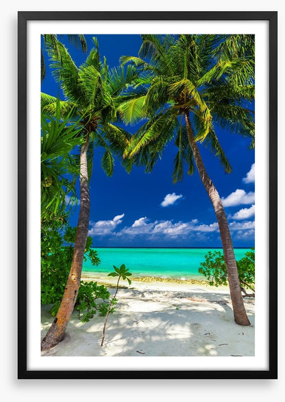 Enter paradise