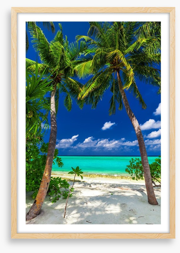 Enter paradise