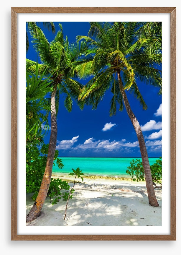 Enter paradise