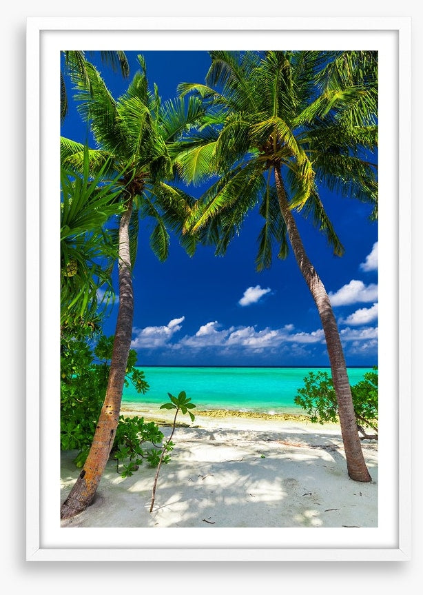 Enter paradise