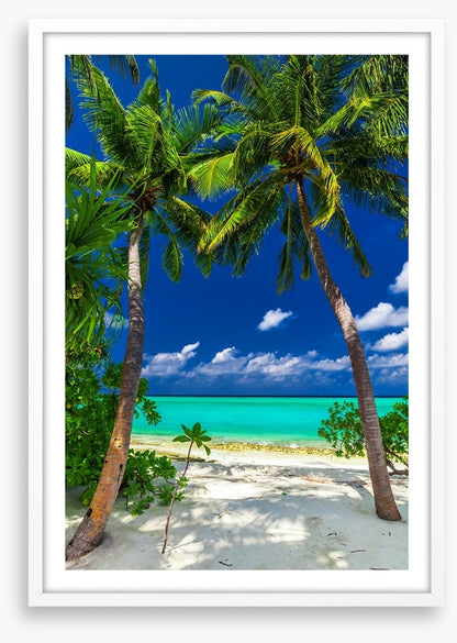 Enter paradise