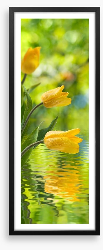 Yellow tulip ripples