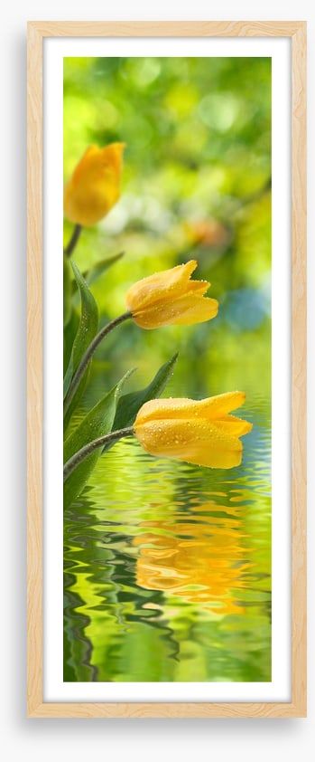 Yellow tulip ripples