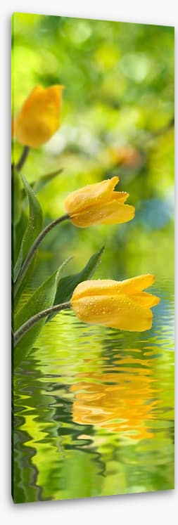 Yellow tulip ripples