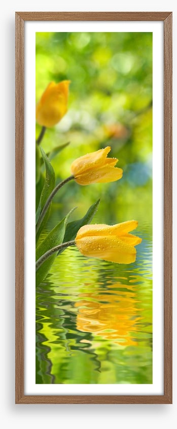 Yellow tulip ripples