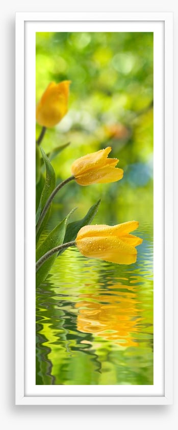 Yellow tulip ripples