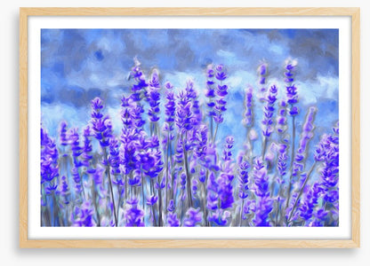 Lavender for luck