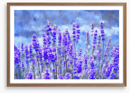Lavender for luck