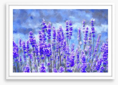 Lavender for luck