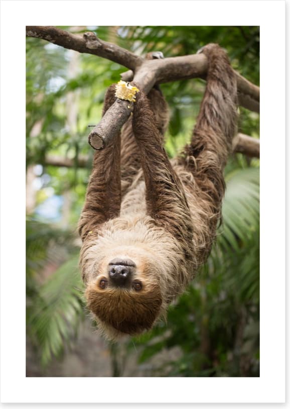 Hang on