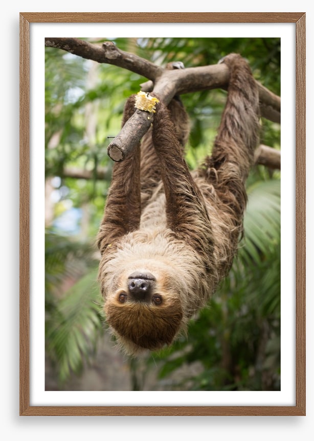 Hang on