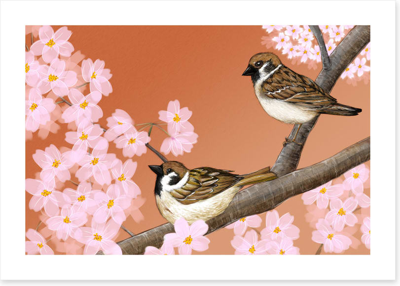 Birds