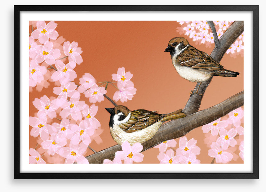 Birds