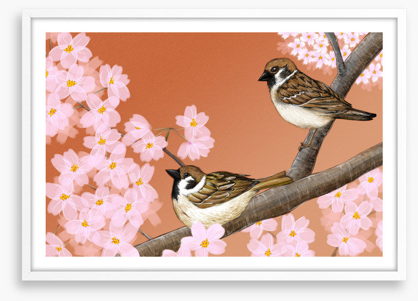 Birds