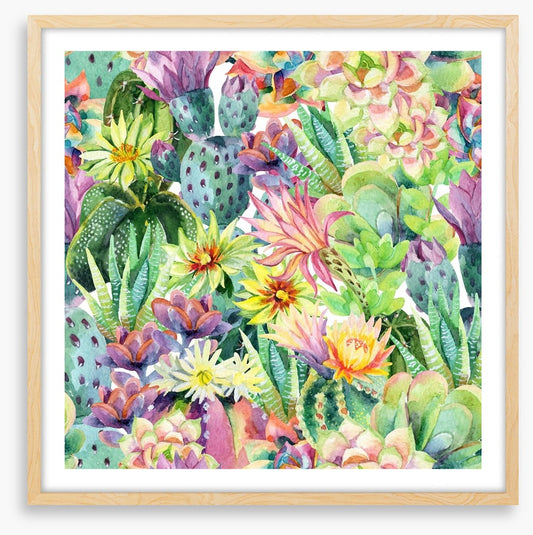 Desert bloom