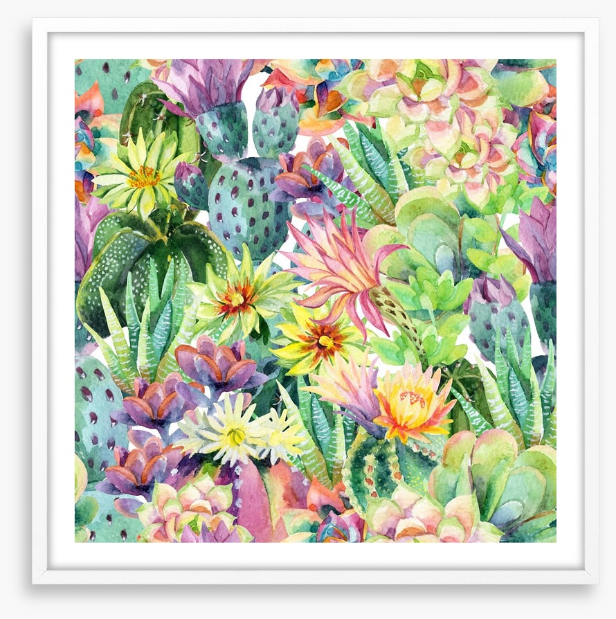 Desert bloom