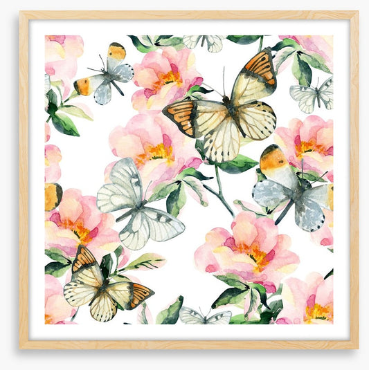 Butterflies