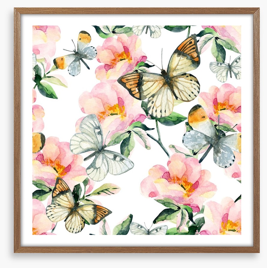 Butterflies