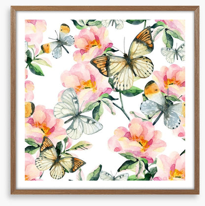 Butterflies