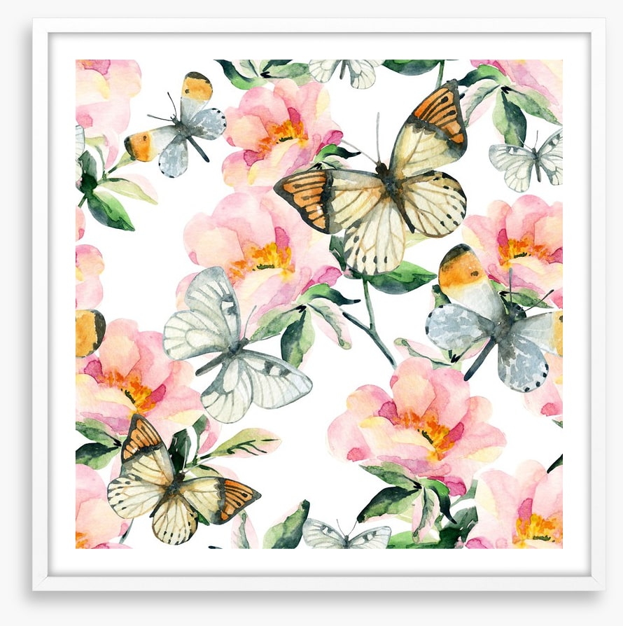 Butterflies