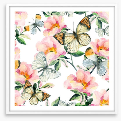 Butterflies
