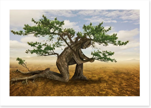 Pray for the trees