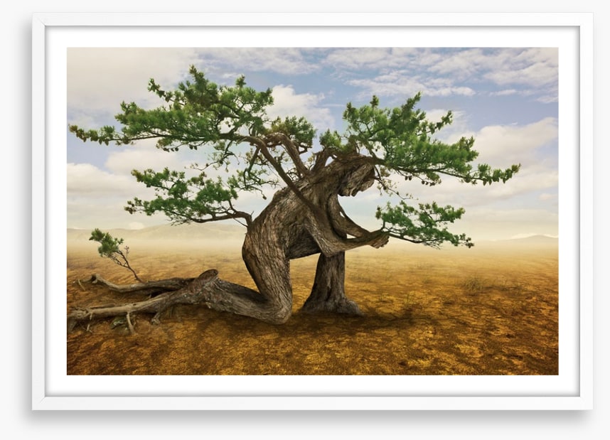 Pray for the trees