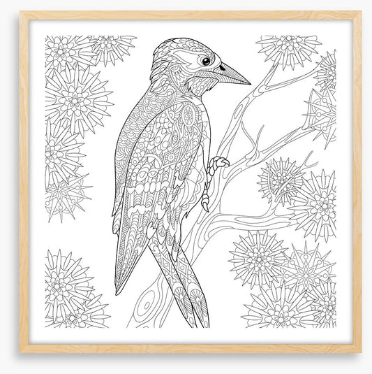 Colour me woodpecker