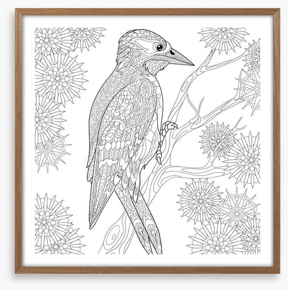 Colour me woodpecker