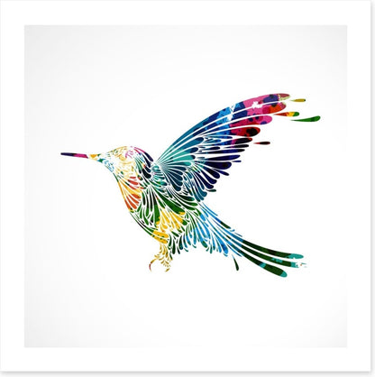 Rainbow hummingbird