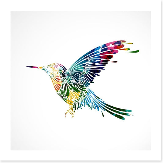 Rainbow hummingbird
