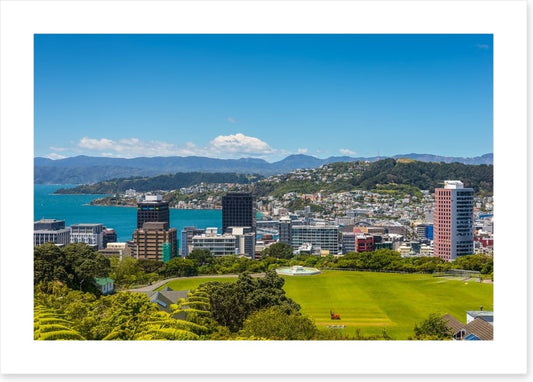 Wellington skyline
