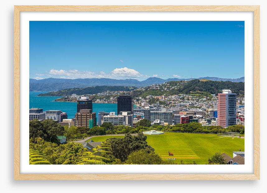 Wellington skyline