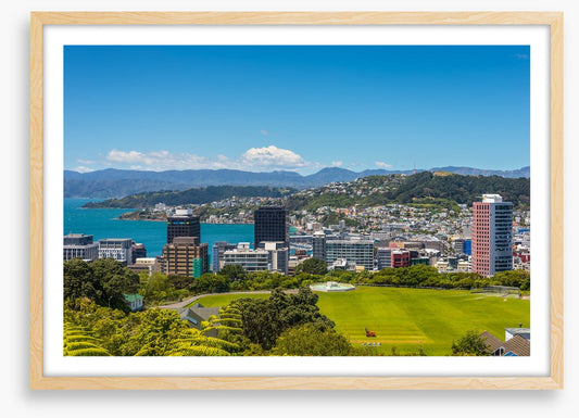 Wellington skyline