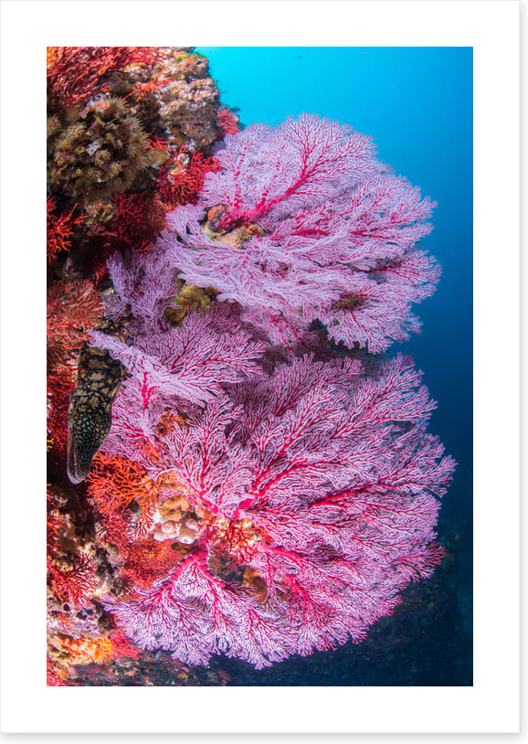 Underwater