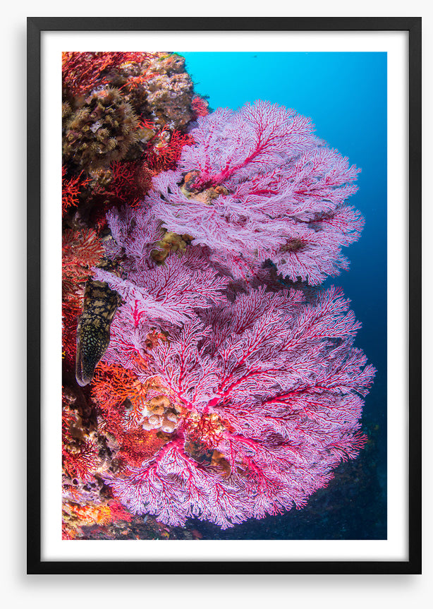 Underwater